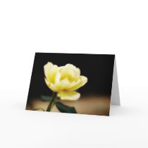 Yellow Rose Card