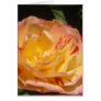 Yellow Rose Card