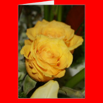 Yellow Rose cards