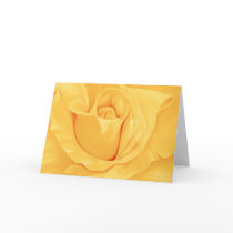 Yellow Rose cards by cnag4892 Yellow Rose cards