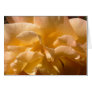 Yellow Rose Card