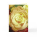 yellow rose card