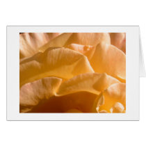 Yellow Rose Card