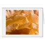 Yellow Rose Card