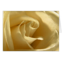 Yellow-Rose cards