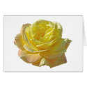 Yellow Rose cards by mlane53 Yellow Rose cards
