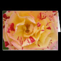 Yellow Rose Card