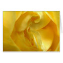 yellow rose card