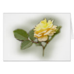 Yellow Rose Card