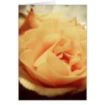 Yellow Rose cards