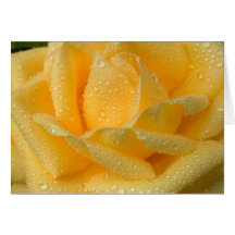 Yellow Rose Card