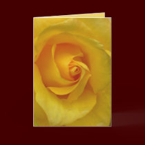 Yellow Rose Card Flowers Custom Greeting Cards cards