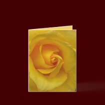 Yellow Rose Card Flowers Custom Greeting Cards cards