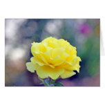 Yellow Rose Cards