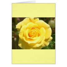 Yellow Rose Cards