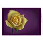 Yellow Rose Cards