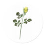 Yellow Rose Clipart Sticker