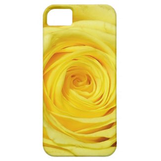 Yellow Rose Close-Up Photo iPhone 5 Case