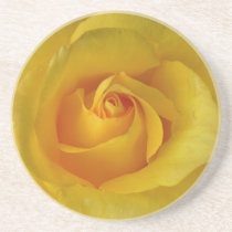 Yellow Rose Coasters Sunny Rose Gifts Keepsake Dec coasters
