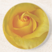 Yellow Rose Coasters Sunny Rose Gifts Keepsake Dec
