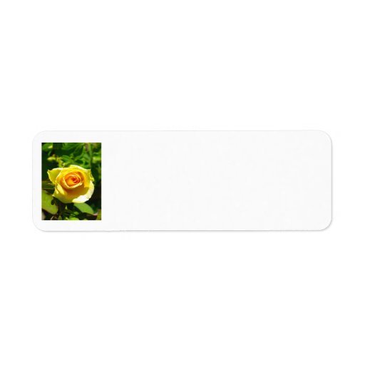 Yellow Rose Custom Return Address Labels