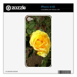 Yellow Rose Decals For The iPhone 4