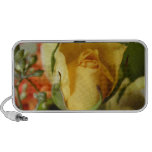 Yellow Rose Doodle Speakers