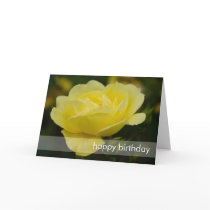 Yellow Rose DSC1876 Greeting Card