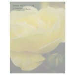 Yellow Rose DSC1876 Letterhead