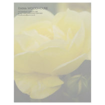 Yellow Rose DSC1876 Letterhead