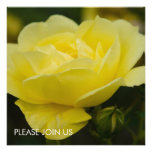 Yellow Rose DSC1876 Personalized Invitations