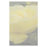 Yellow Rose DSC1876 Stationery Paper