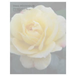 Yellow Rose DSC3676 Letterhead Template