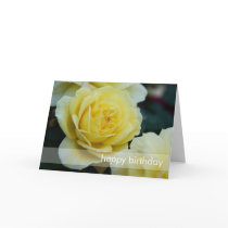 Yellow Rose DSC3677 Greeting Card