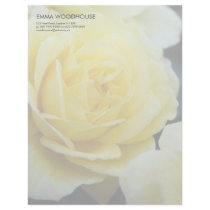 Yellow Rose DSC3677 Personalized Letterhead