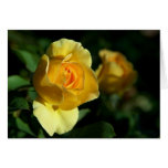 Yellow Rose Floral Greeting Card