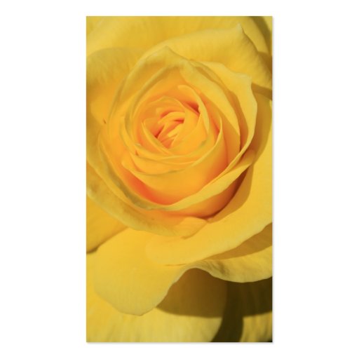 Yellow Rose Flower Business Card (back side)