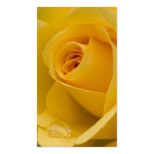 Yellow Rose Flower Business Cards (back side)