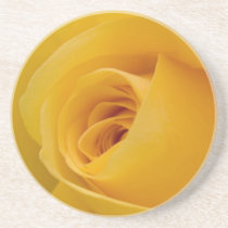 Yellow Rose Flower Coasters