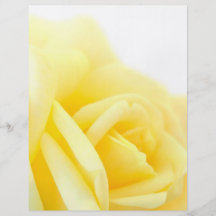 Yellow rose flyer design