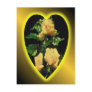 Yellow rose glow, post card