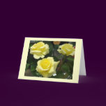 Yellow Rose Greeting Card