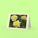Yellow Rose Greeting Card