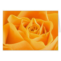 Yellow Rose Greeting Card