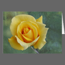 Yellow rose greeting card cards