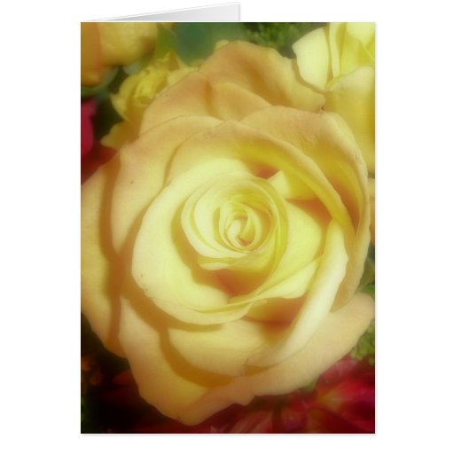 Yellow Rose Greeting Card