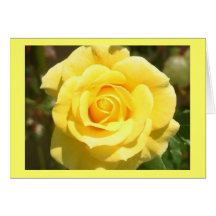 Yellow Rose Greeting Card