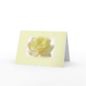 Yellow Rose Greetings cards by mlane53 Yellow Rose Greetings cards