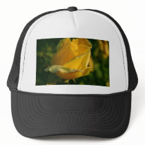 Yellow Rose In Balboa Park hats