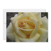 Yellow Rose invitations by bkang22 Yellow Rose invitations